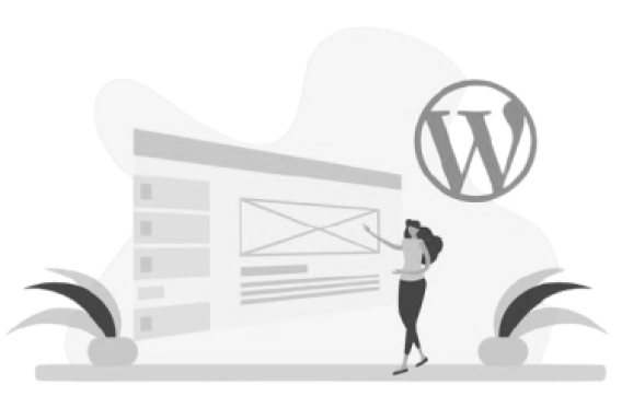 custom wordpress development